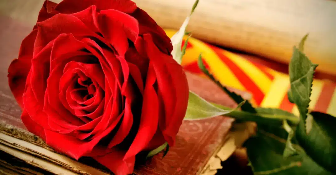 Sant Jordi