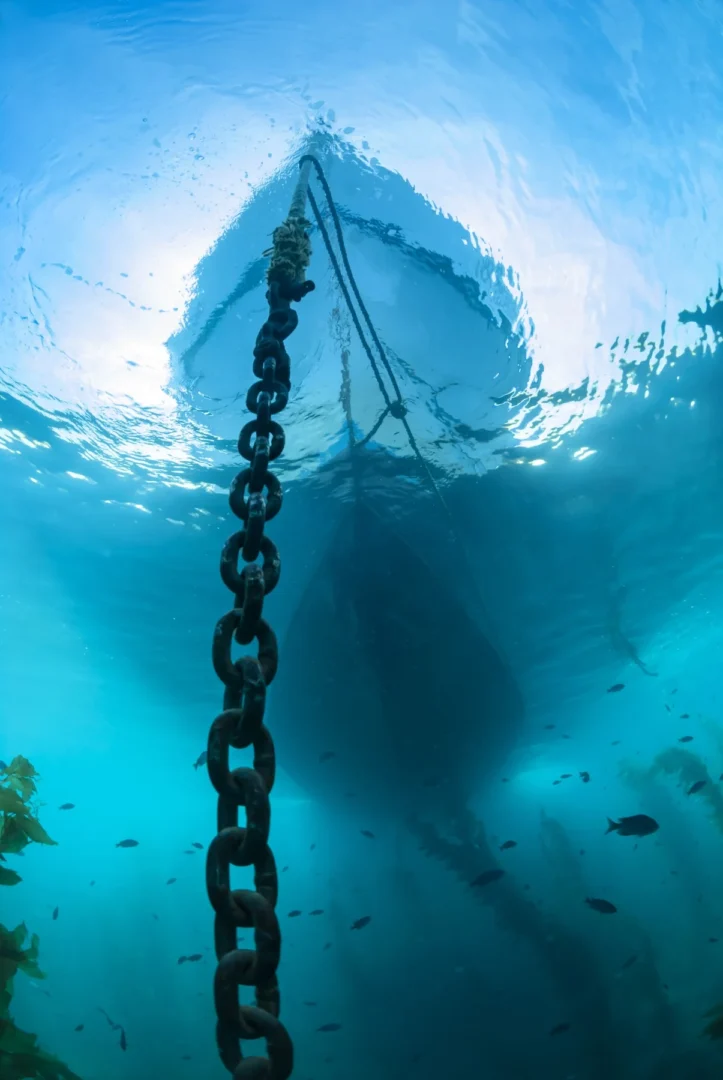 Ship anchors threaten posidonia