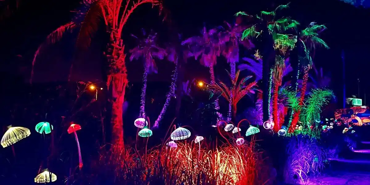Astro Magic Lights at BiBo Park Ibiza