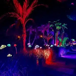 Astro Magic Lights at BiBo Park Ibiza