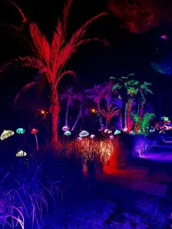 Best Family Activities in Ibiza 2026: Why BiBo Park Is One of the Island’s Must-Visit Attractions