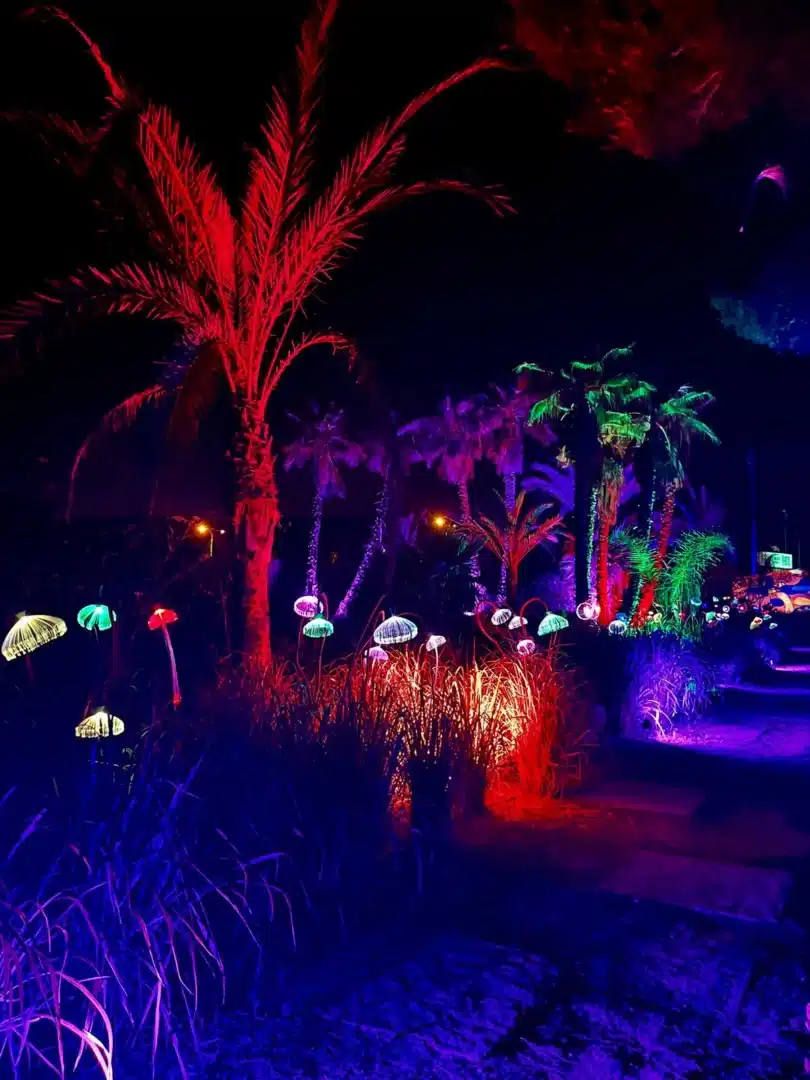 Astro Magic Lights at BiBo Park Ibiza