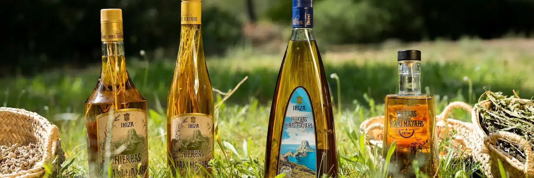 Familia Marí Mayans