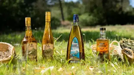 Why ‘hierbas ibicencas’ liquor by Marí Mayans is the most famous drink from Ibiza