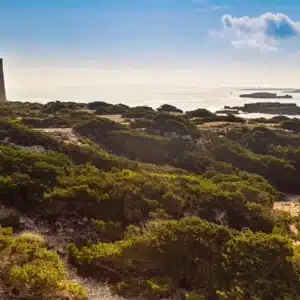 Ses Salines defence tower