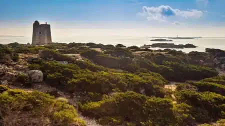 Family routes in Ibiza: discover the easy 2k trail from ses Salines to ses Portes tower