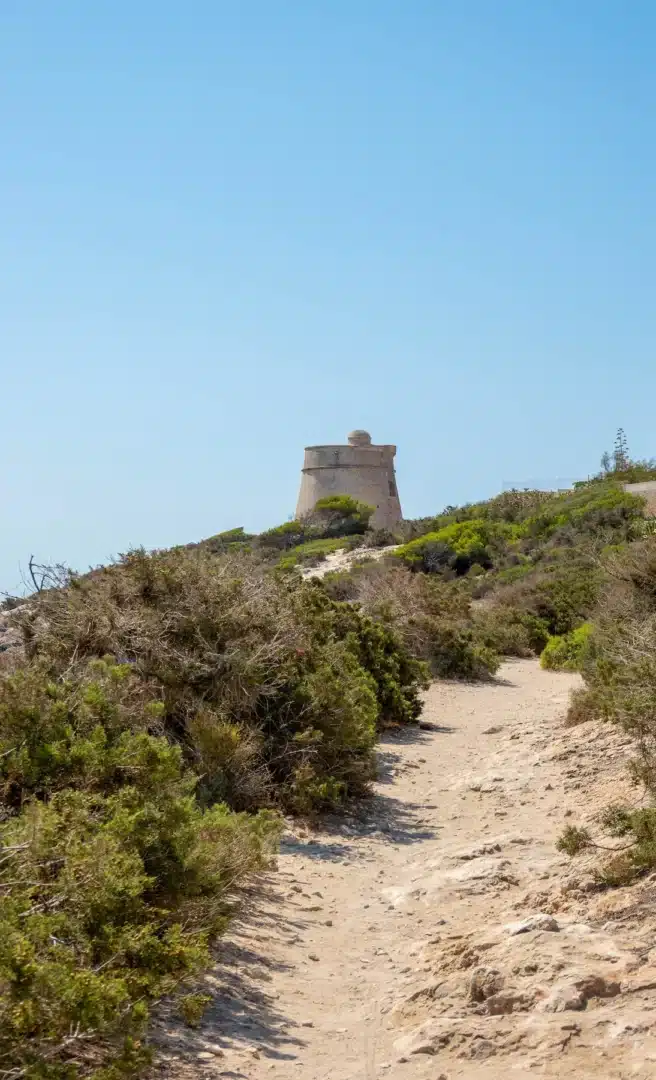 Sa Sal Rossa tower in Playa d'en Bossa