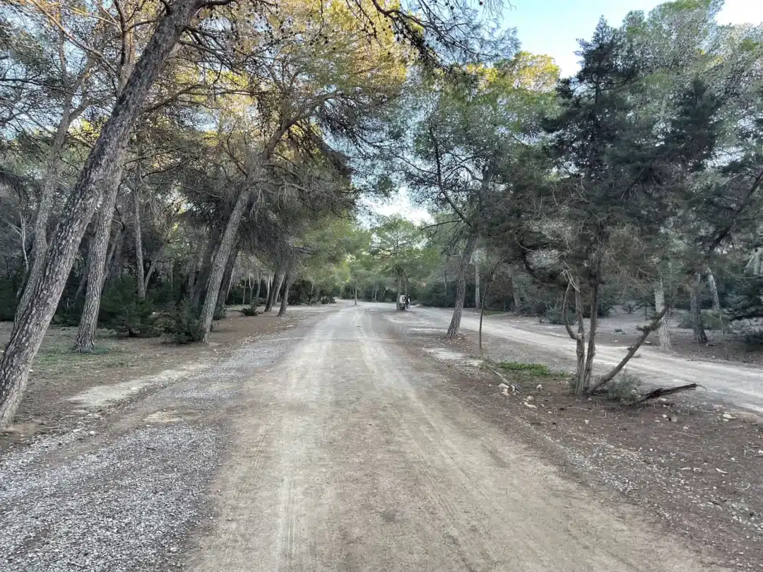 Ses salines family route