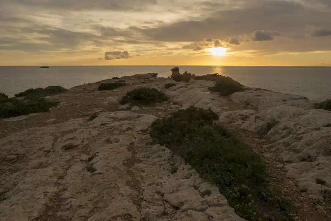 Cap Martinet