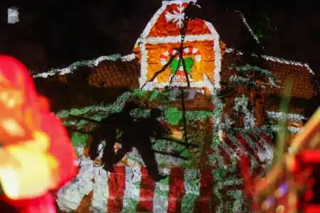 This weekend in Ibiza: a festive Christmas agenda town by town
