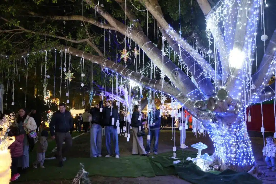 Christmas in Sant Antoni