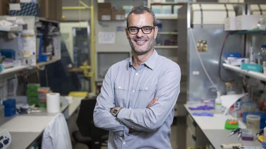 "Palmitic acid, which is found in palm oil, accelerates metastasis."