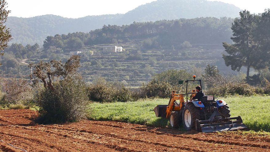 Spring: time for sowing and harvesting