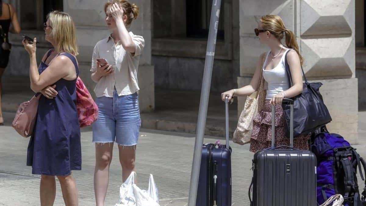 They pay more than 4,500 euros for a vacation in a hotel where “they wouldn’t put a dog”