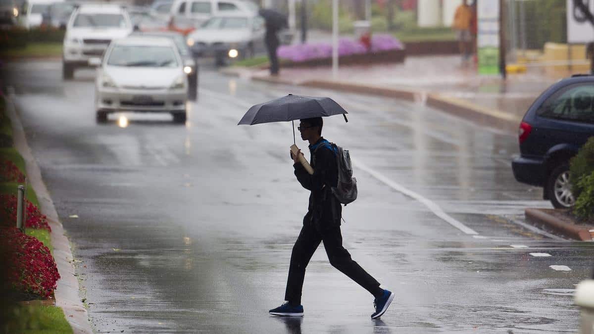 Yellow alert in Ibiza and Formentera this Monday: What time will it rain?