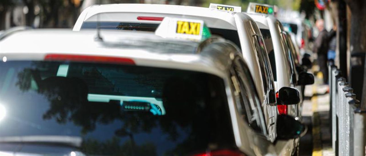 Ibiza and Santa Eulària also reinforce taxi fleets with seasonal licences