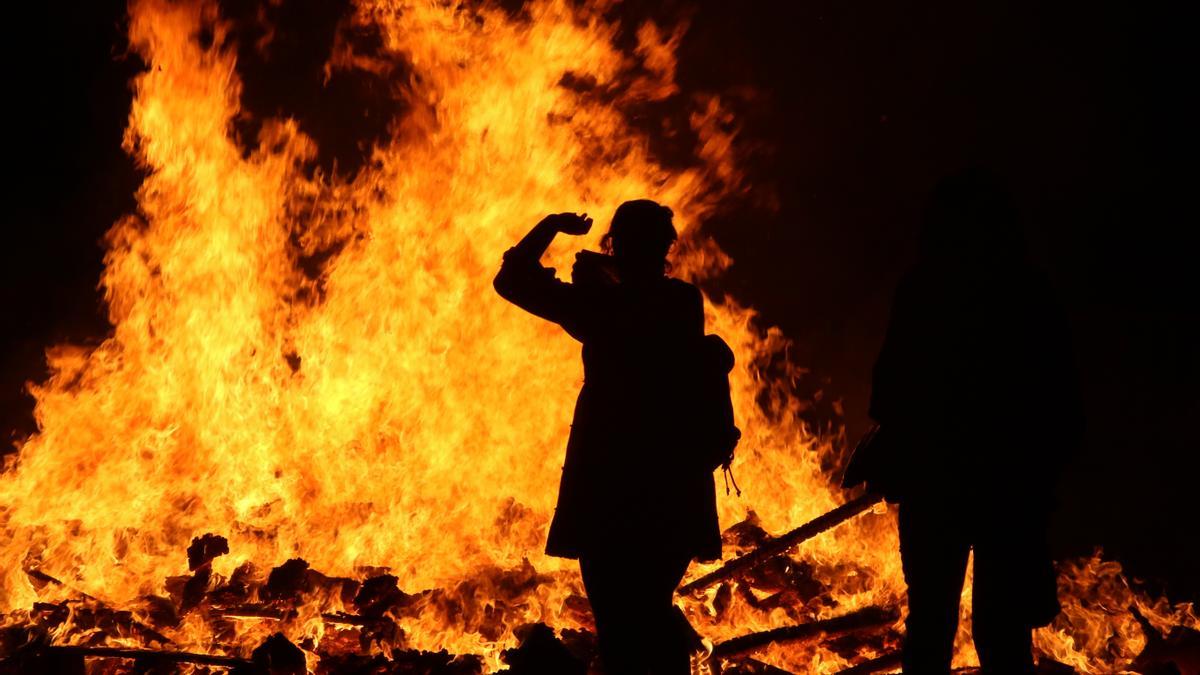 Almond trees with buds and flowers in October on Ibiza: "The intense heat deceives them"