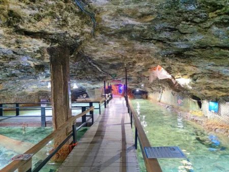 Aquarium-Cap-Blanc-3