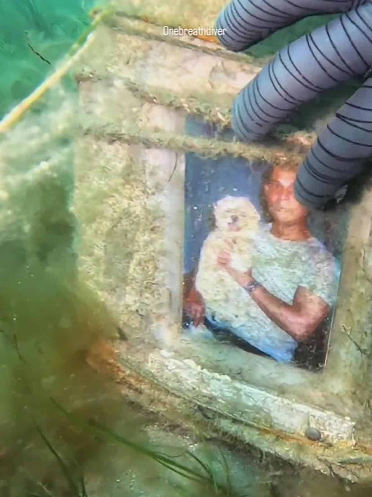 Small tombstone that showed him the octopus