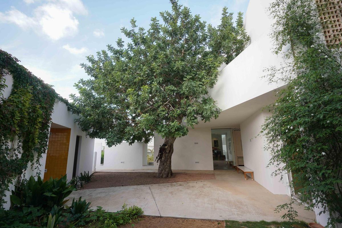 Mira aquí las imágenes del arte balear más actual en el Estudi Tur Costa