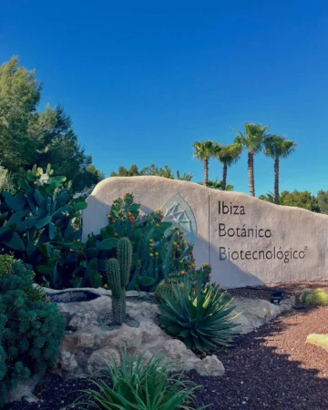 bibo-park-ibiza