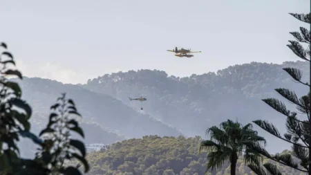 IbizaPreservation Urges Stronger Wildfire Prevention Measures to Protect Ibiza’s Biodiversity