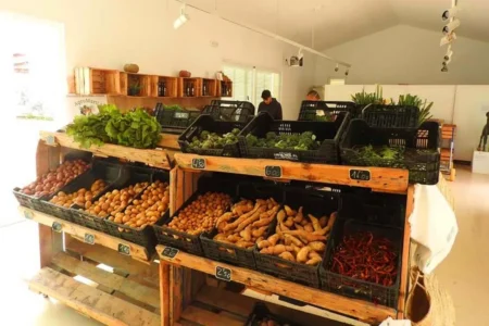 Market Pagès Sant Francesc