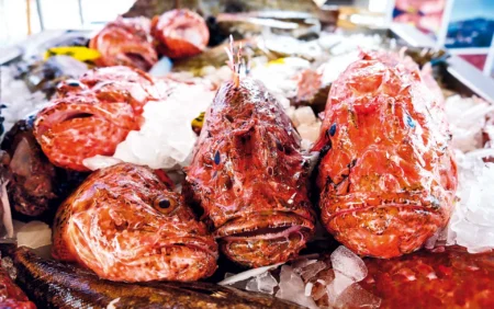 Red Scorpionfish: Ibiza’s Prized Mediterranean Delicacy from Sea to Table