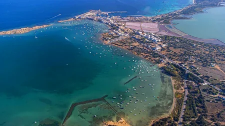 Formentera to Host Free Marine Conservation Workshop