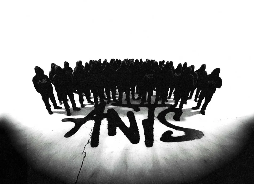 ANTS at Ushuaïa Buy your tickets 2026