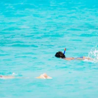 snorkel