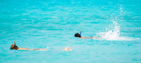 Free guided snorkelling tours in Formentera to showcase the island’s marine forests this August