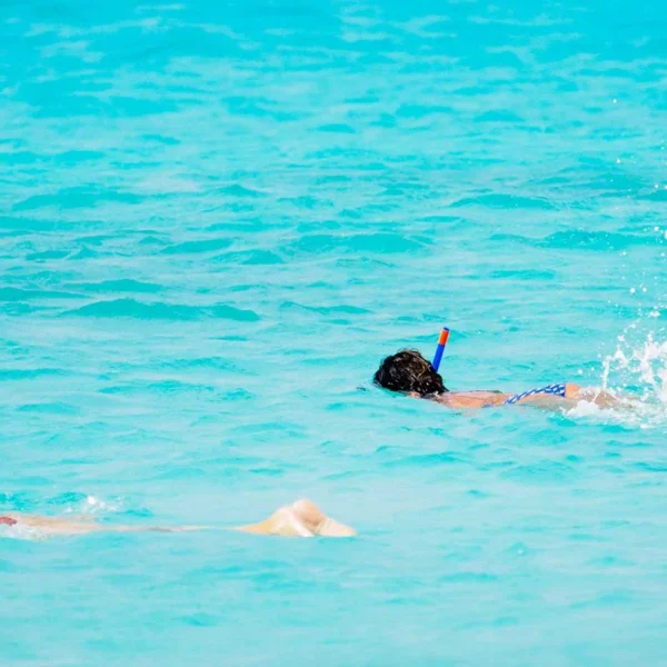 Free guided snorkelling tours in Formentera to showcase the island’s marine forests this August