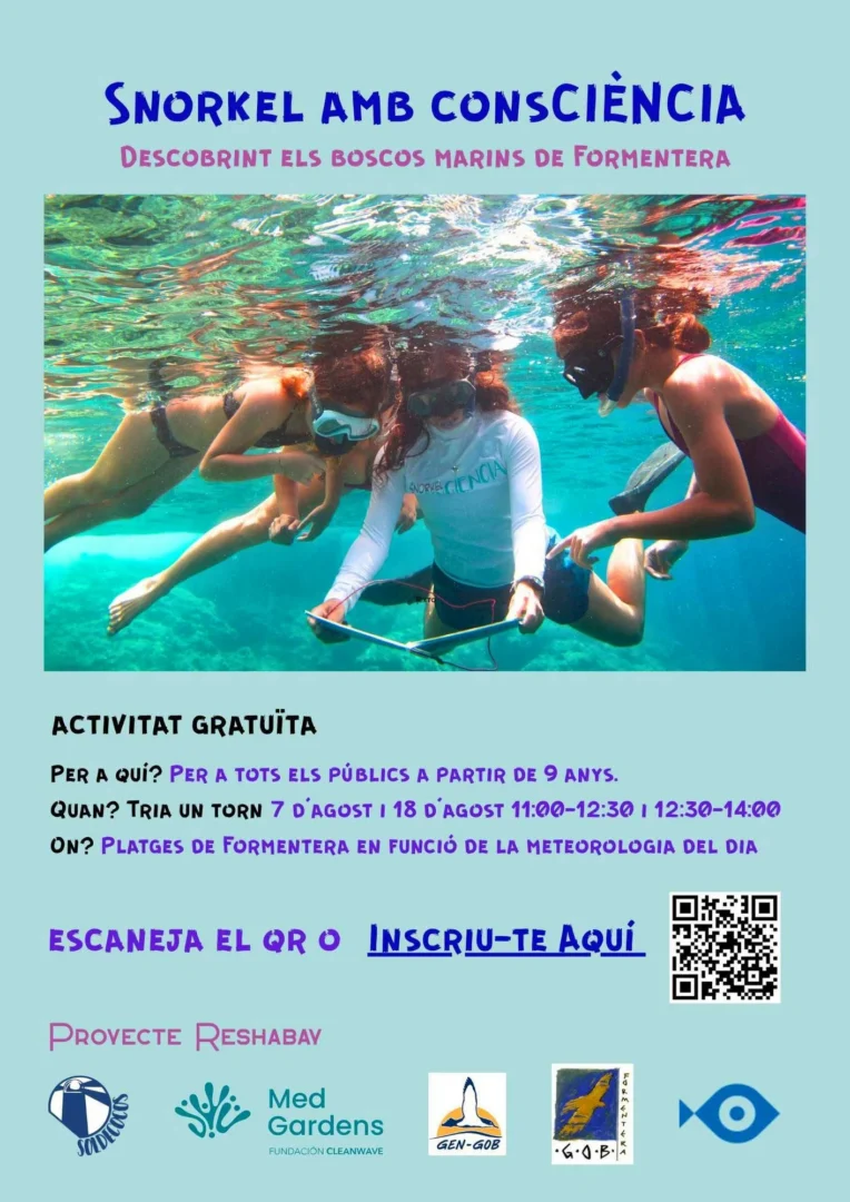 Free snorkelling to explore Formentera’s underwater forests. | GEN-GOB