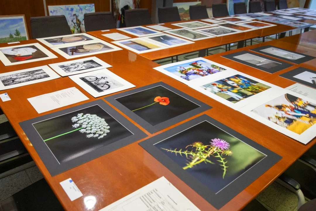 https://www.diariodeibiza.com/news/vuit-dagost-awards-2026-ibiza-announces-winners-painting-photography-graphic-design-ceramics-music/