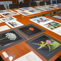 A selection of the entries submitted to the competition | CIE