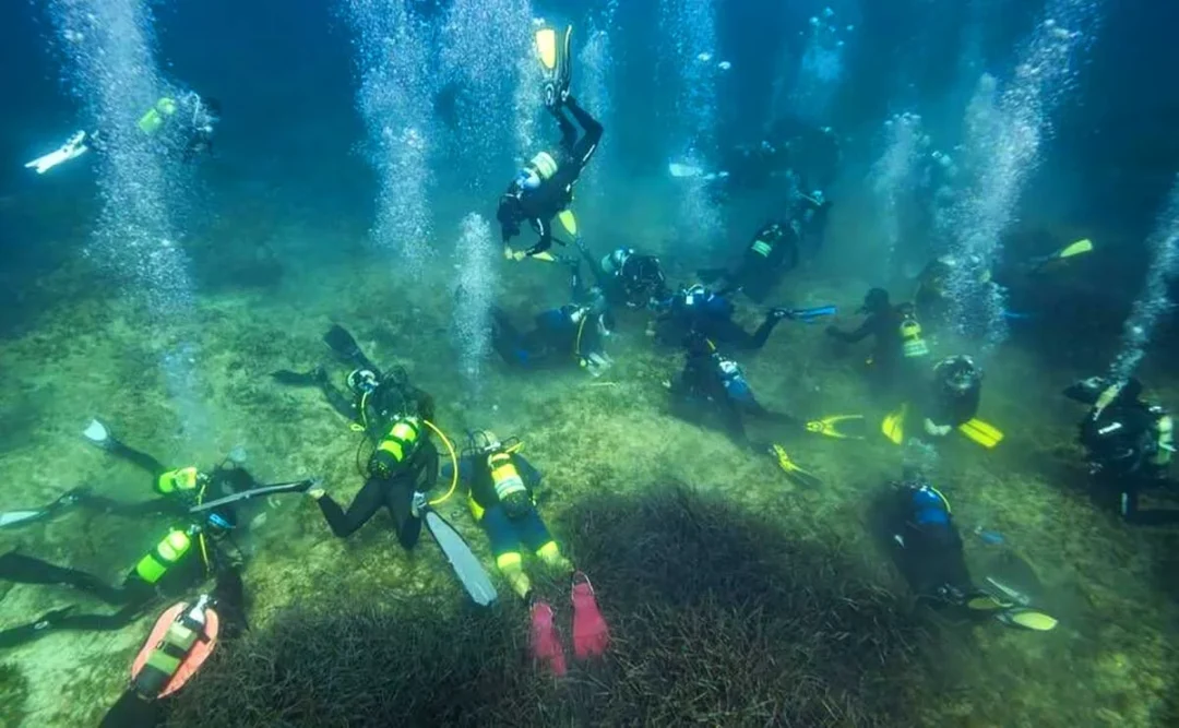 Divers planting Posidonia seagrass in Talamanca Bay. | Marina Ibiza