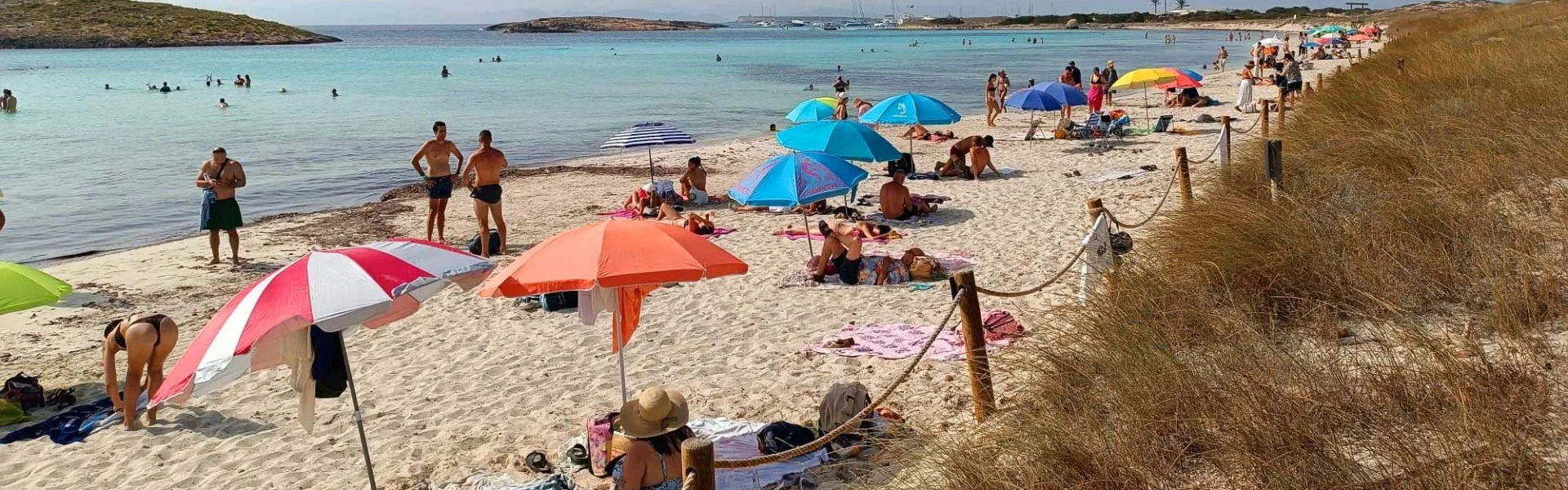 Ses Illetas beach without sunbeds | P.M.V.
