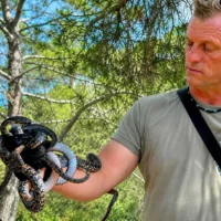 Dean Gallagher holds several snakes captured in a trap installed on a farm in Santa Agnès, Ibiza. | D.I.