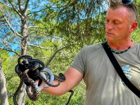 Six Snakes Emerge at Once from a Trap in Ibiza: “They Were All Trying to Escape,” Says Dean Gallagher
