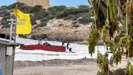 Fugitive wanted since December arrested in Ibiza in drug trafficking case