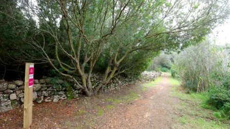Ibiza: Sant Joan Invests Almost €184,000 in Rural Roads