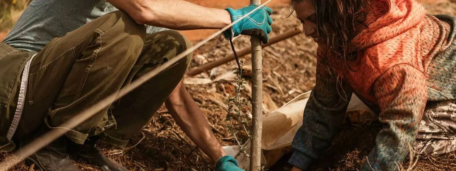 IbizaPreservation allocates 35,000 euros for the planting of one thousand fruit trees and the restoration of agricultural land in the Pityusic Islands / IbizaPreservation