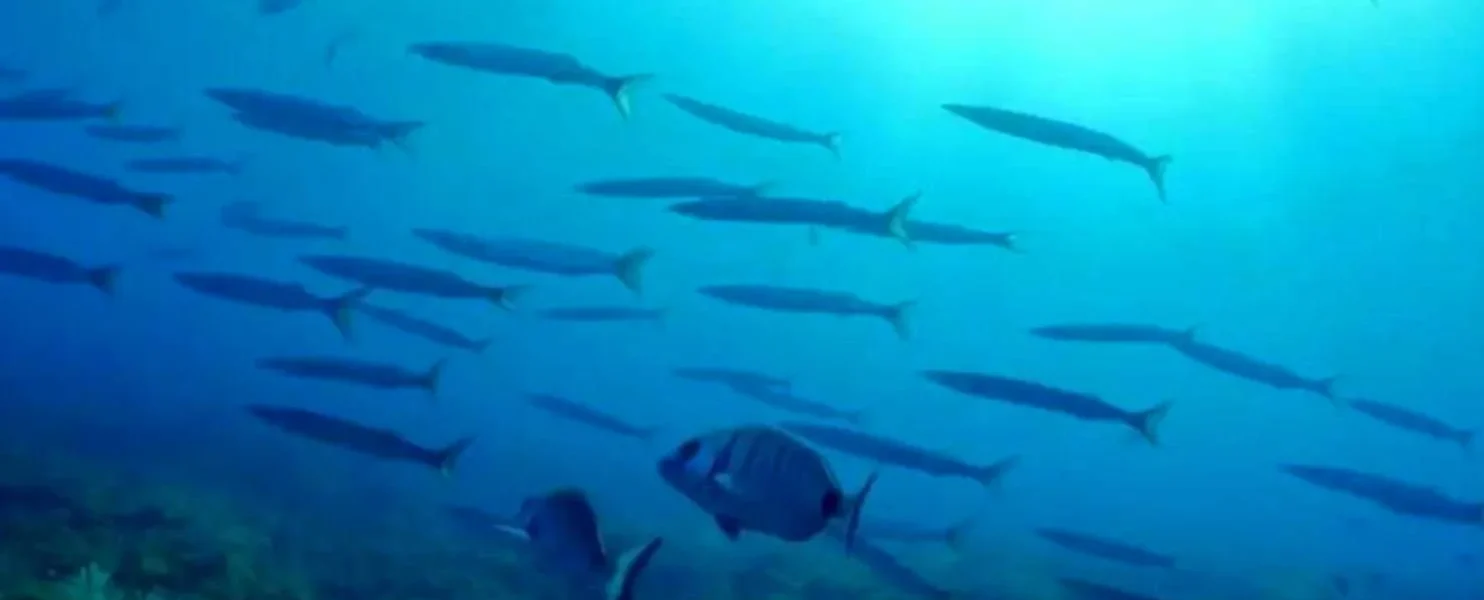 Balearic Sea, file photo. / Mare