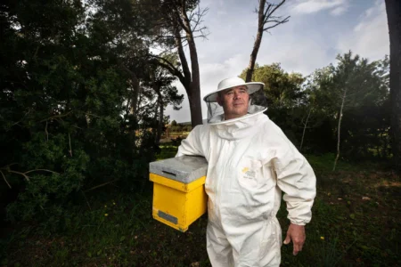Ibiza Beekeepers Warn of Drought as Bee Deaths Rise