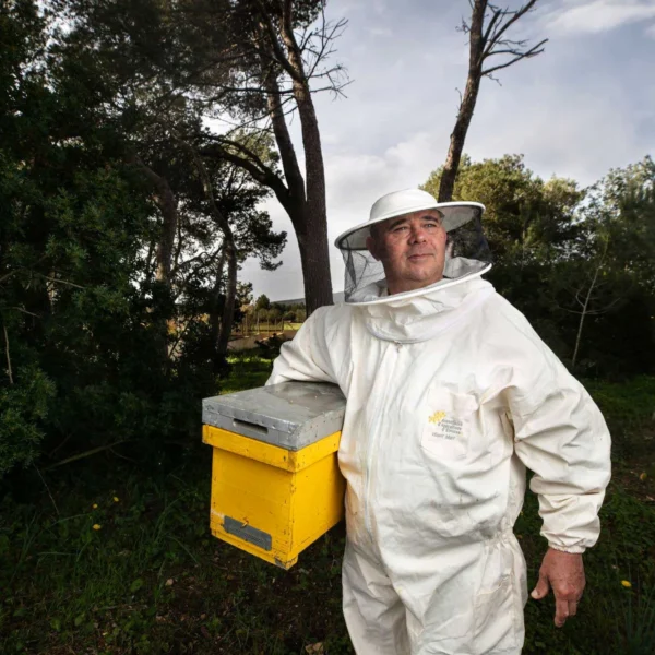 Ibiza Beekeepers Warn of Drought as Bee Deaths Rise