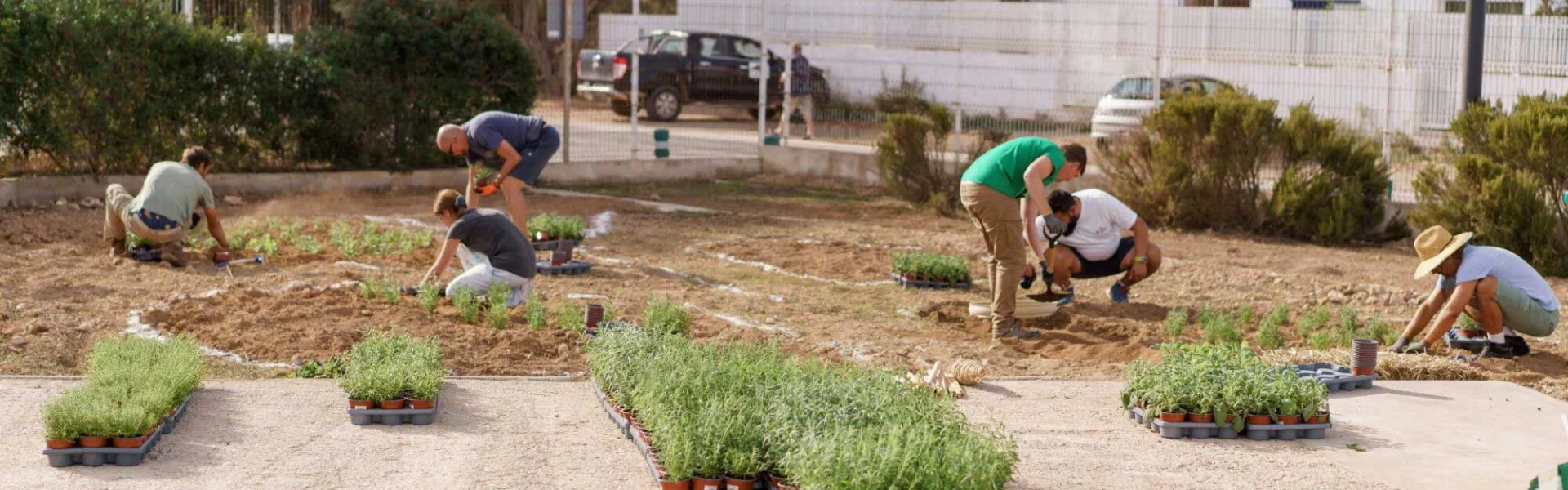 Formentera Creates a New Butterfly Garden in Sant Ferran