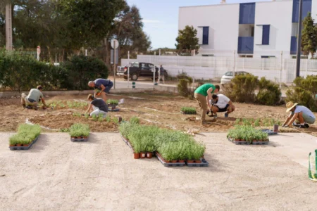 Formentera Creates a New Butterfly Garden in Sant Ferran