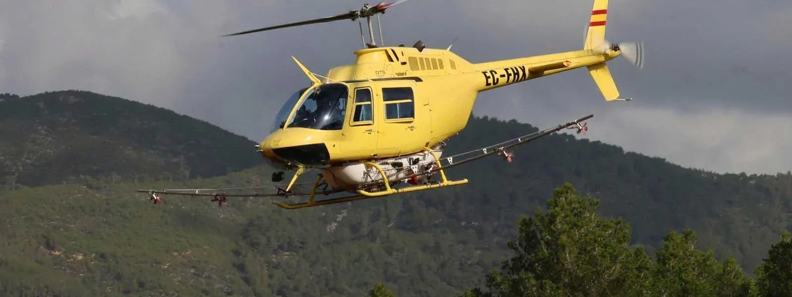 Aerial treatment campaign against pine processionary caterpillars in the pine forests of Ibiza and Formentera.