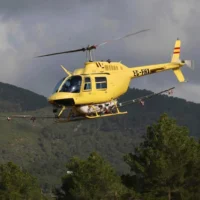 Aerial treatment campaign against pine processionary caterpillars in the pine forests of Ibiza and Formentera.